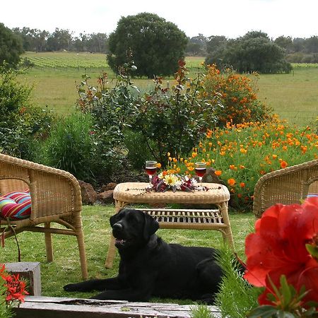 Silversprings Spa Retreat Pet Friendly Cottages And Glampings 메트리컵 외부 사진